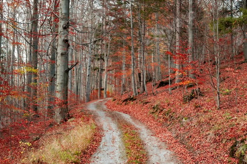 Preview: Open road.