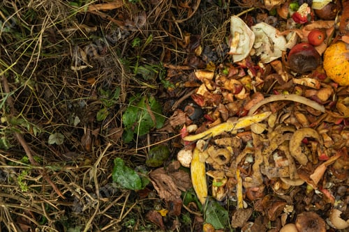 Preview: Compost pile made of organic food, leaves, vegetable and fruit waste mix