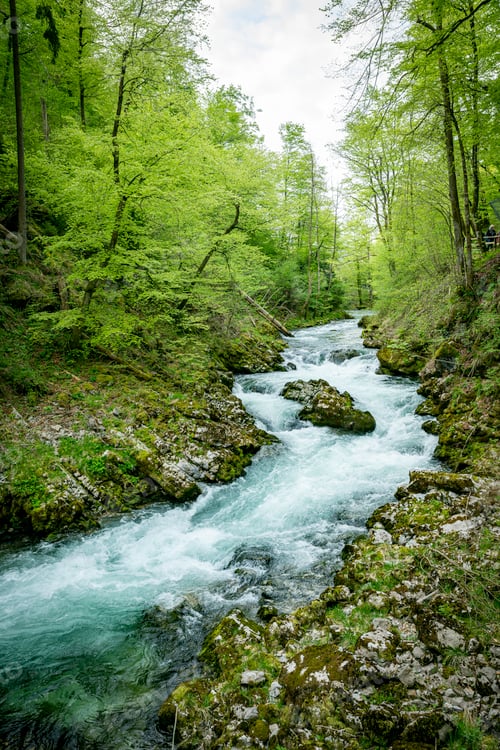 Preview: the vintgar gorge in Solvenia, a nature park with waterfalls and green plants