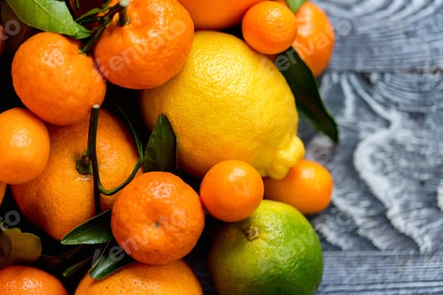 Preview: Close-up of various citrus fruits
