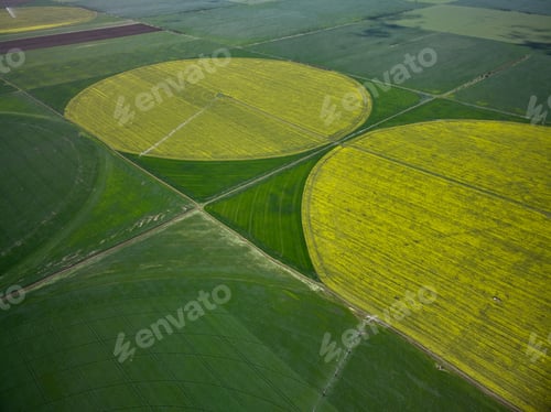 Preview: Center pivot irrigation system on a yellow rapeseed field aerial view