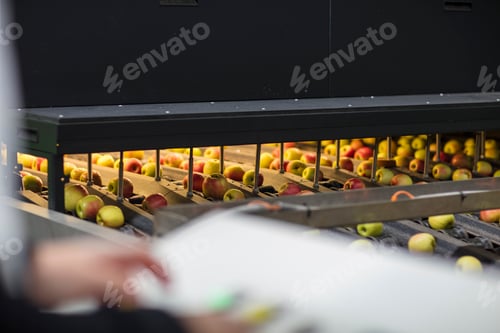 Preview: Apples going through machine