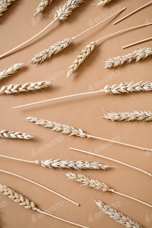 Preview: Wheat Stalks Background on Neutral Surface