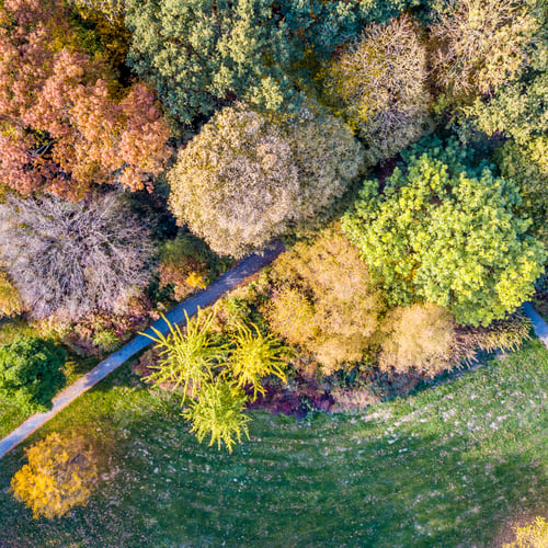 Preview: city park in october autumn colors