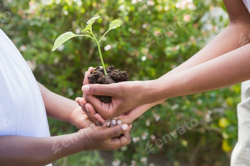 Preview: A woman plant a flower with a child in the garden