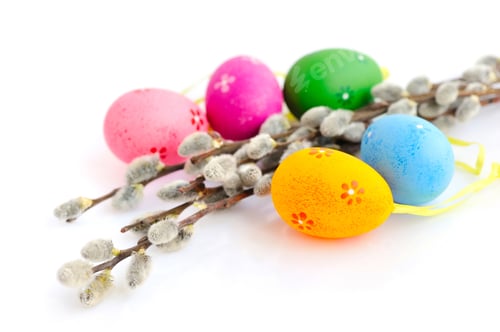 Preview: Colorful easter eggs and branches of willow on white background