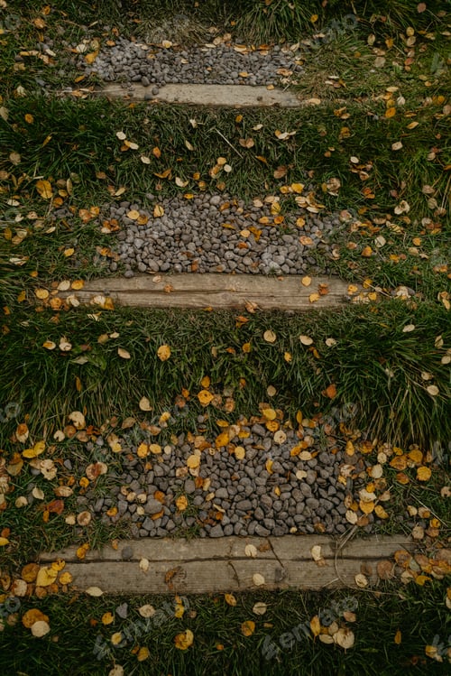Preview: Steps covered with autumn leaves