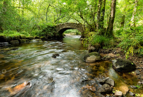 Preview: Hisley Bridge on Dartmoor