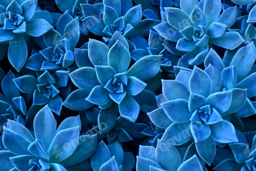 Preview: Nature background