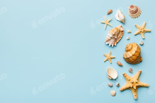 Preview: Summer time concept Flat lay composition with beautiful starfish