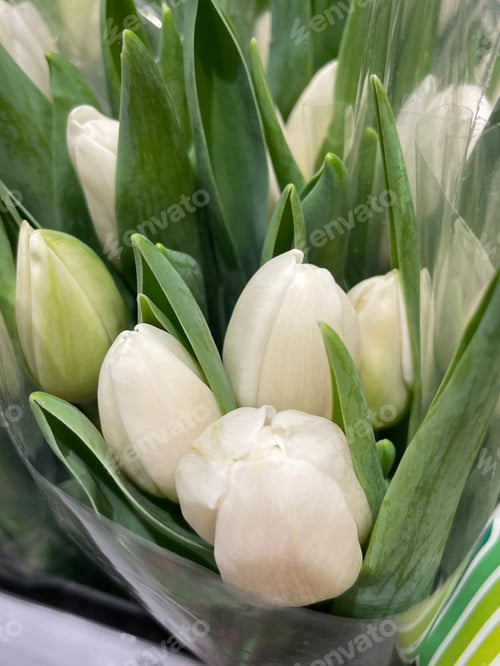 Preview: Flower