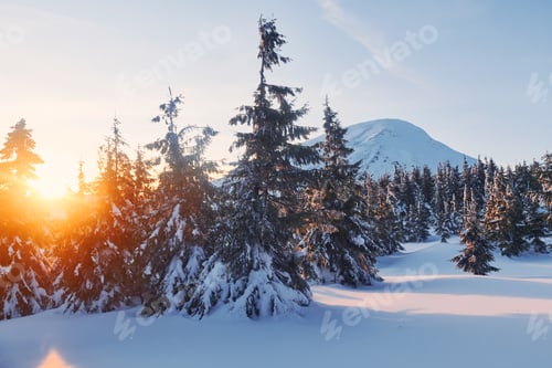 Preview: Majestic Petros mountain illuminated by sunlight. Magical winter landscape with snow