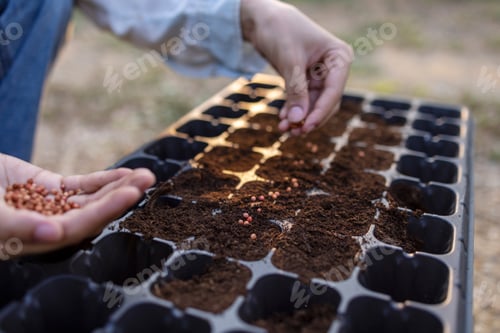 Preview: Agriculture concept