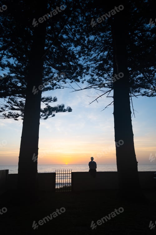 Preview: Silhouette of Man Sitting Under Trees Watching the Sunrise in a Sea Scape Background.