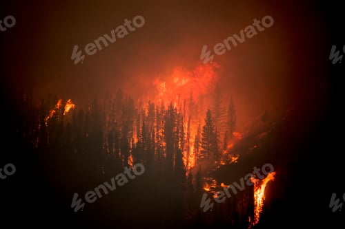 Preview: Close up of mountain wild fire.