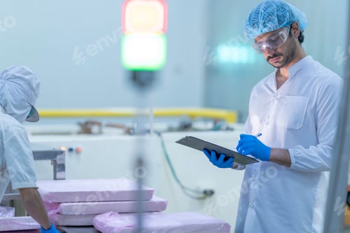 Preview: quality control inspector in a food processing facility monitors production