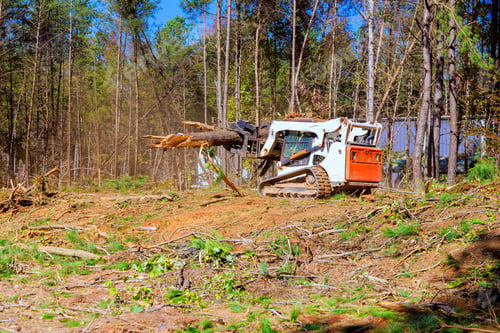 Preview: Trees are uprooted when a to prepare land for construction