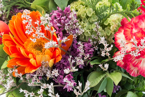 Preview: Floral Background