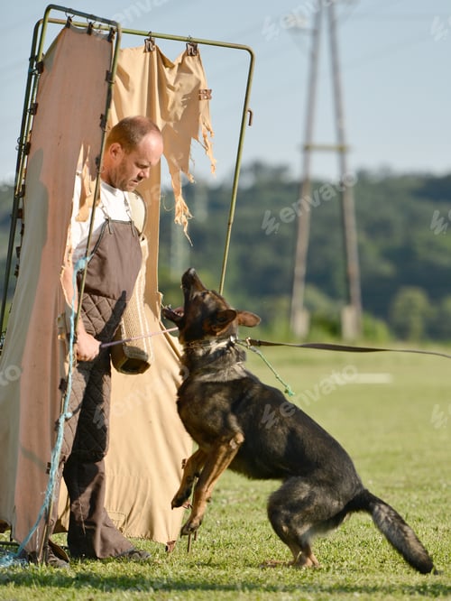 Preview: Training Of A Police Dog