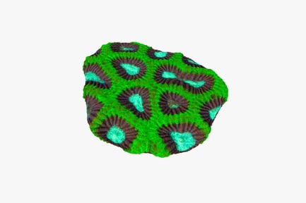 Visualização: Forma esférica em camadas com detalhes de superfície irregulares