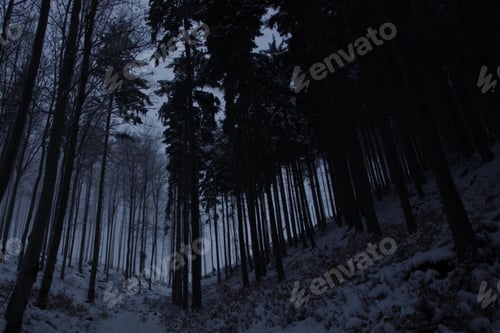 Preview: darkness, forest, horror, spooky