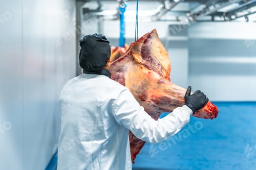 Preview: Butcher transporting meat along a cold storage room