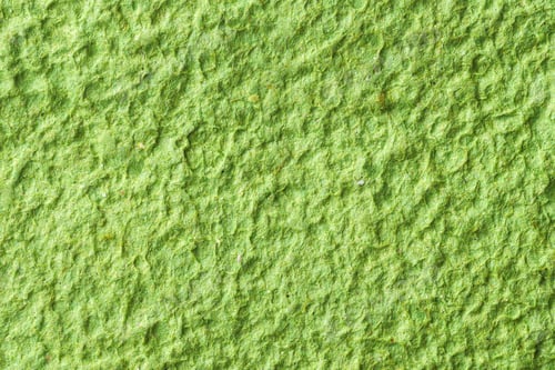 Preview: Green fibrous paper texture fills frame with natural uneven relief