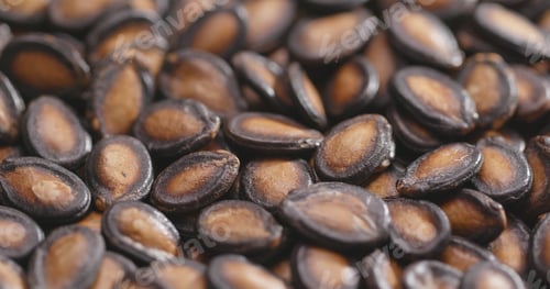 Preview: Stack of Black Melon Seeds