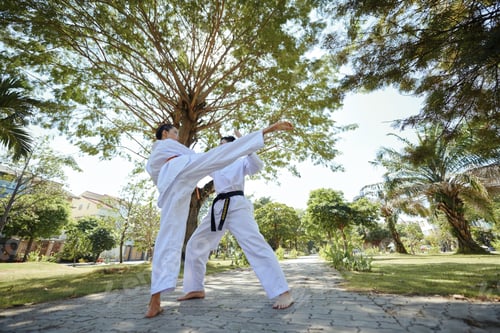 Preview: Taekwondo Athletes Fighting in Park