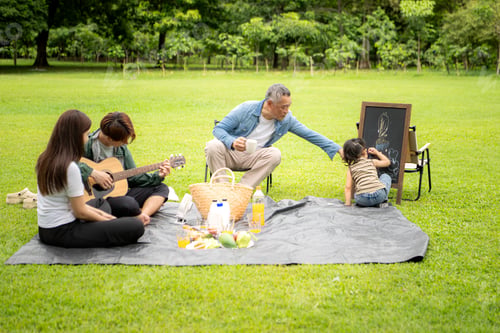 Preview: Happy multi generational Asian family enjoying picnic in the park
