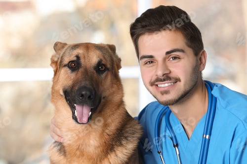 Preview: Veterinarian doc with dog in animal clinic