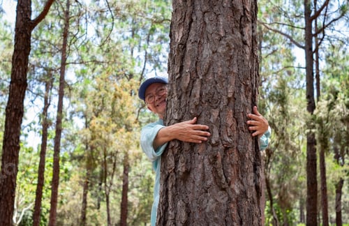 Preview: Smiling active senior woman hugging a tree trunk in the forest - love and respect for nature