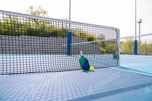 Preview: Pickleball paddle and ball positioned at the net, highlighting anticipation of the game