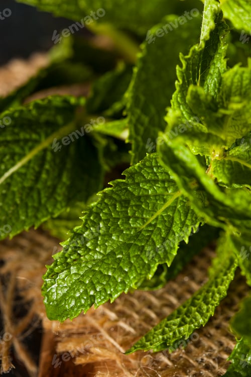 Vista previa: Organic Green Mint Leaf