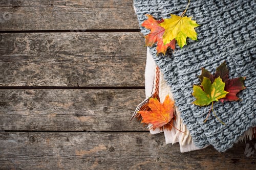 Preview: Autumn background with plaid and leaves
