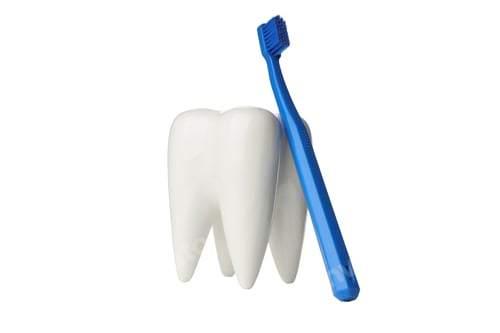 Preview: Toothbrush beside large tooth model highlights care, on white