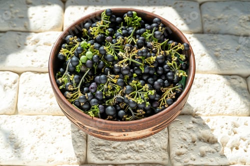Preview: Black nightshade berries in a plate on table close-up. Nightshade in cooking. Healthy food. Harvest