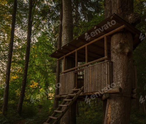 Preview: the small wooden tree house in the woods with steps up to the roof