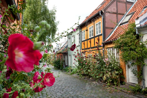 Preview: A charming alley with cobblestone streets and blooming roses