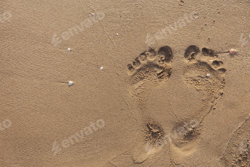 Preview: Top view of footprints on wet beach sand
