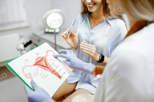 Preview: Gynecologist with female patient in the office