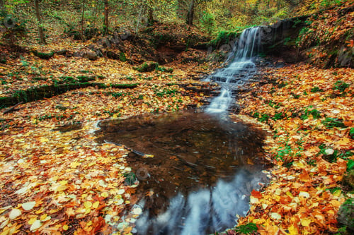 Preview: beautiful waterfall in forest autumn landscape. Beauty world