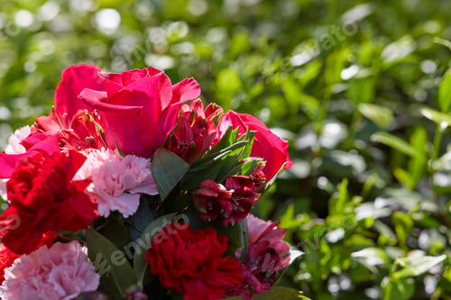 Preview: Photo of fresh colorful flowers together at the garden