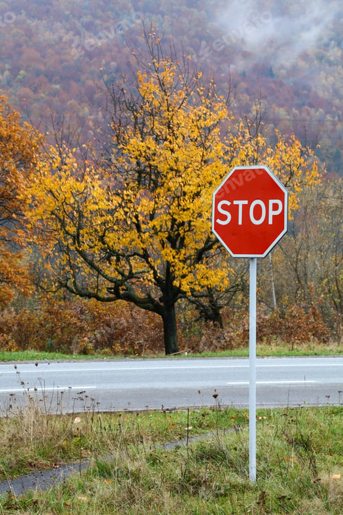 Preview: Road STOP sign over autumn forest landscape