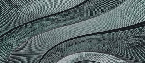 Preview: gray feather pigeon macro photo. texture or background