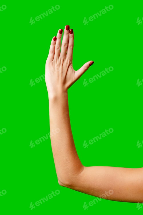 Preview: Womans Arm Hand Sign Raised in the Air