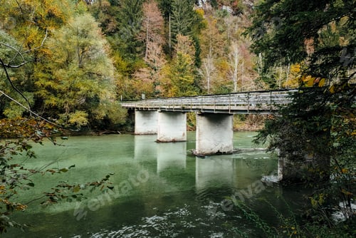 Preview: Bridge over green river surrounded by forest in earth tones.