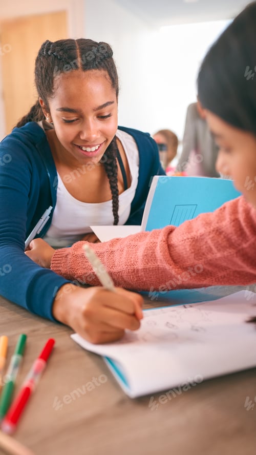 Preview: Two Female Secondary Or High School Students Collaborating In Study Area