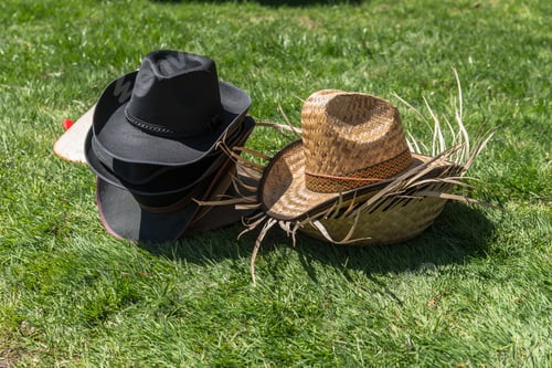 Preview: Old Hats On A Grass