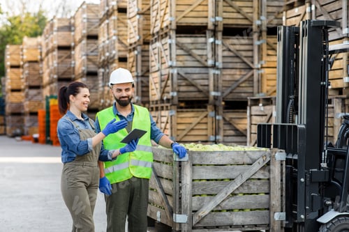 Preview: Warehouse management, loading fruit for dispatch and storage, production and sale